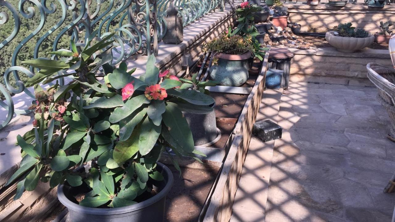 Luxurious Penthouse In Degla Maadi